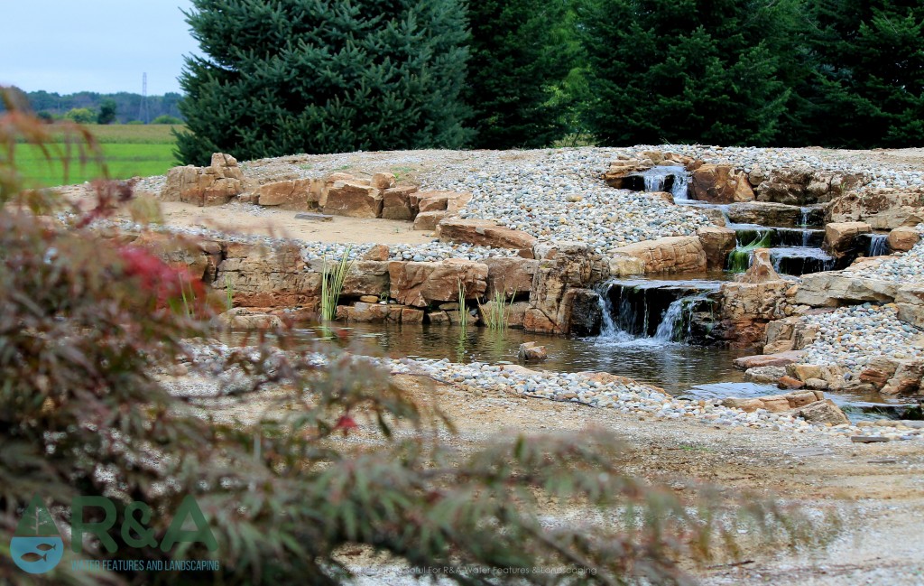 Southwest Mi Koi Pond Installation Waterfall Wetland Pond Plants 4 1024x649